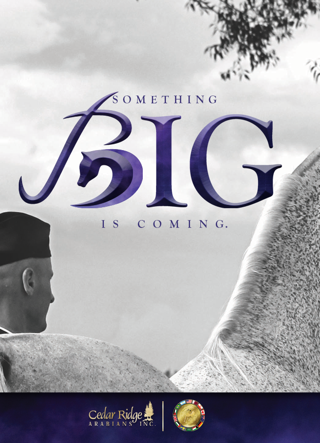 Something BIG Is Coming