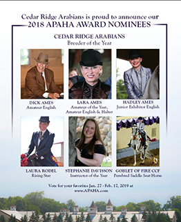 Announcing Our 2018 APAHA Nominees