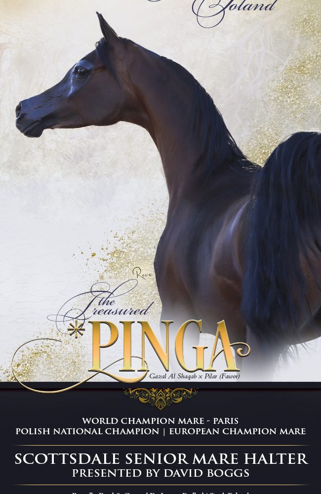 World Champion *Pinga – Center Stage Tomorrow Presented By David Boggs