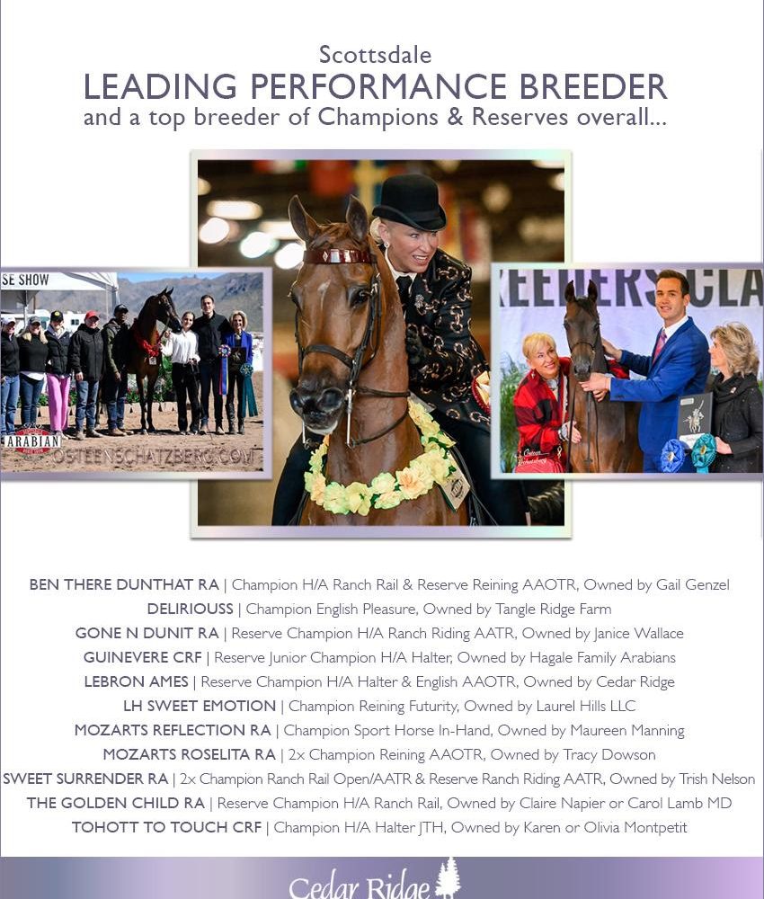 Cedar Ridge… Scottsdale Leading Performance Breeder