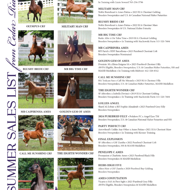 Summer Sales List From 🌲 Cedar Ridge Arabians